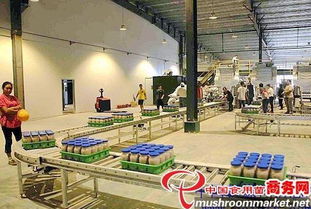 河北光明食品集團(tuán)臨西縣食用菌工廠(chǎng)化建設(shè)項(xiàng)目圓滿(mǎn)竣工，助力現(xiàn)代農(nóng)業(yè)發(fā)展