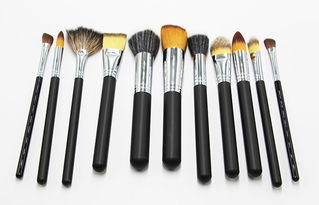 簡(jiǎn)約美妝新選擇 九支化妝刷與家居護(hù)理用品的貼心組合